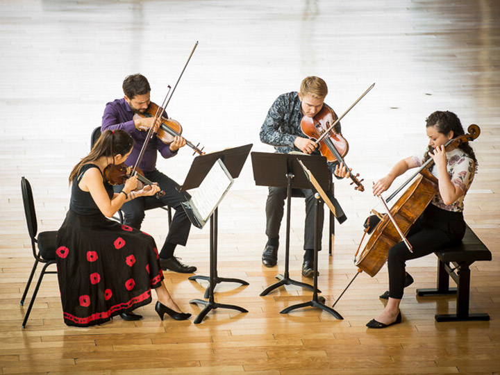Spotlight: Concerts at the Barn, Rosebud String Quartet