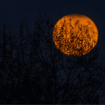 photo of orange full moon