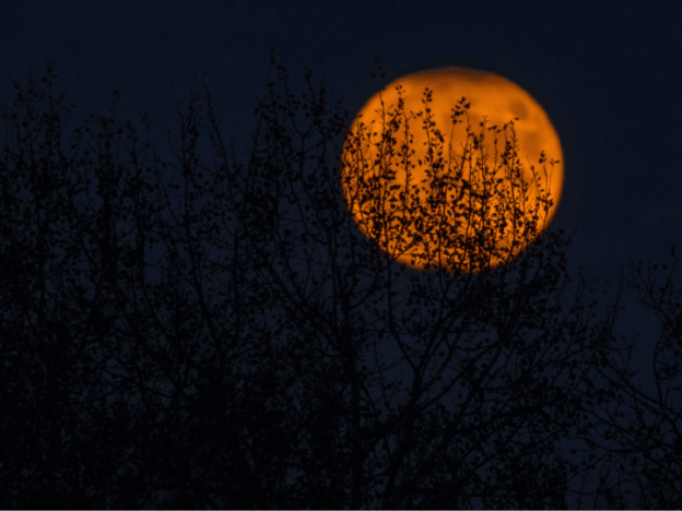 photo of orange full moon