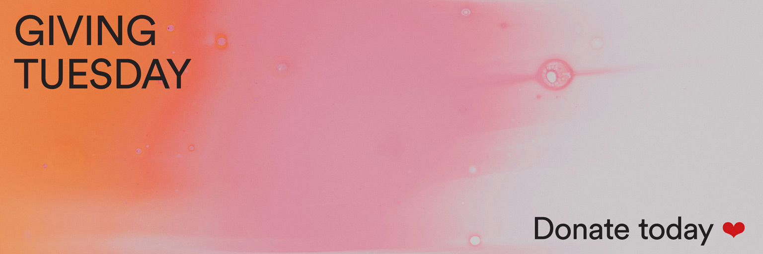 Desktop web banner for 2025 Giving Tuesday