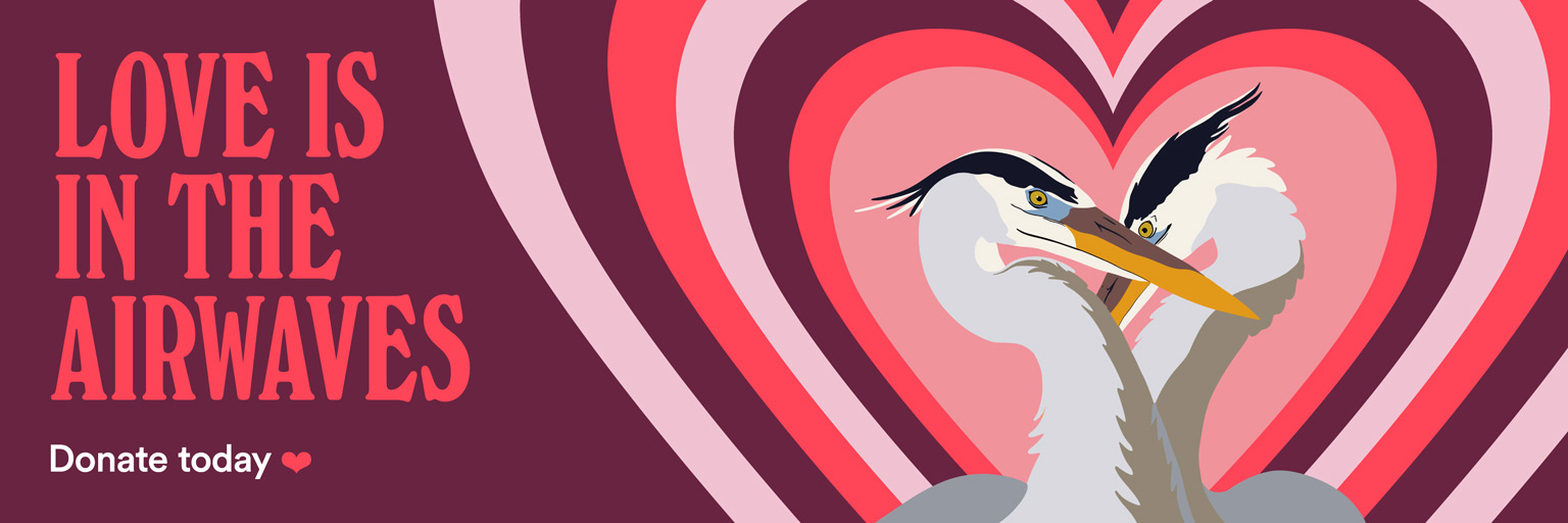 Desktop web banner for All Classical Radio's 2026 Lovefest Fundraiser