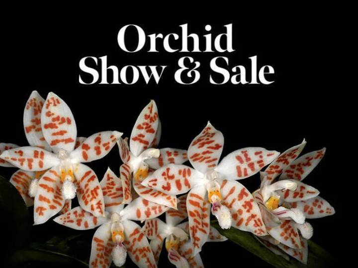 Oregon Orchid Society Show and Sale
