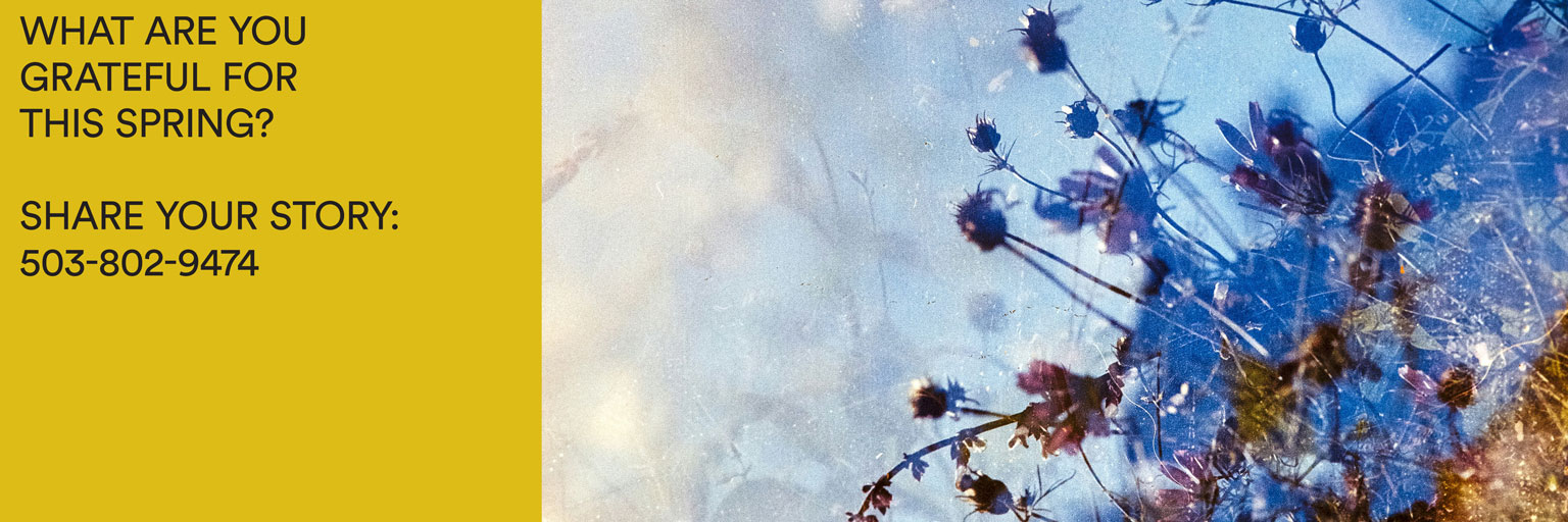 Desktop web banner for All Classical Radio's 2026 Gratitude Program