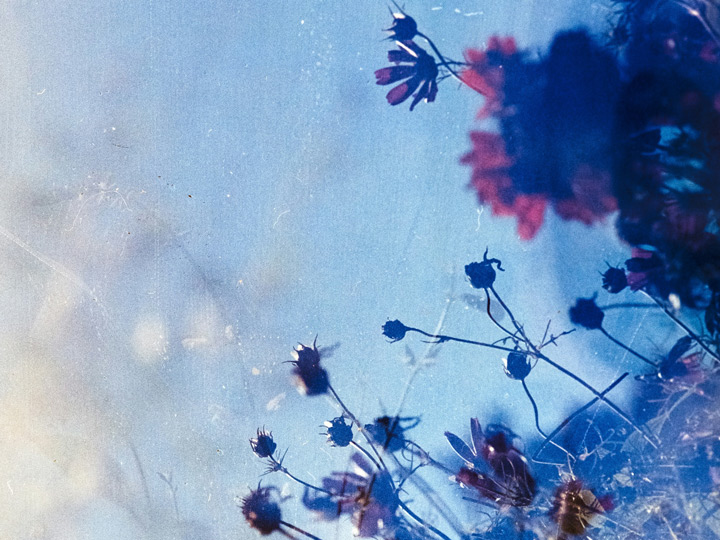 Featured image for All Classical Radio's 2026 Gratitude Program