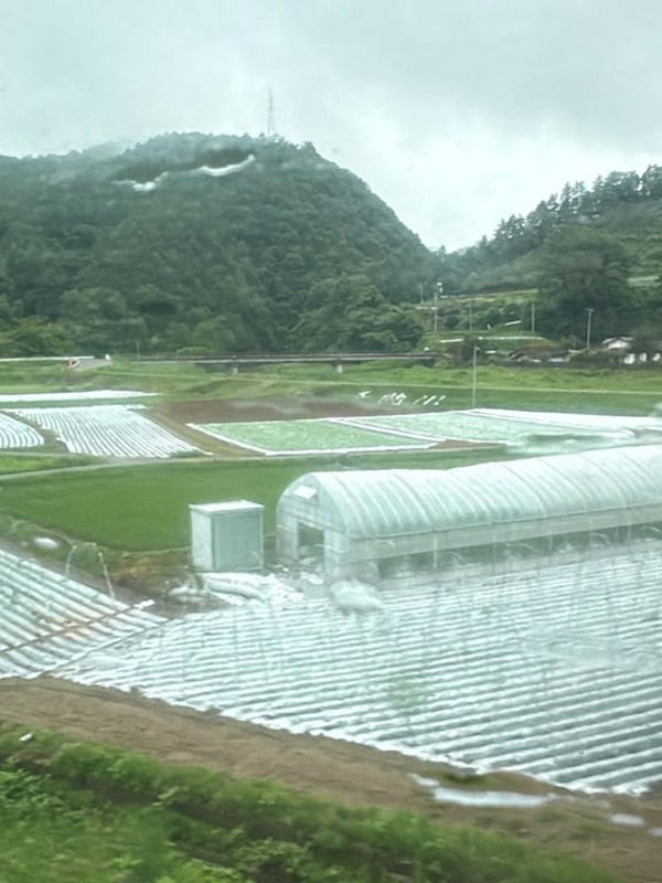 Anthea Kreston's Tour Diary: With Typhoon, Earthquake, and Love