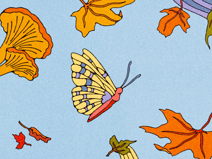 Featured image for All Classical Radio's 2026 Music Connects campaign, featuring a scenic view of leaves, butterflies, frogs, and mushrooms