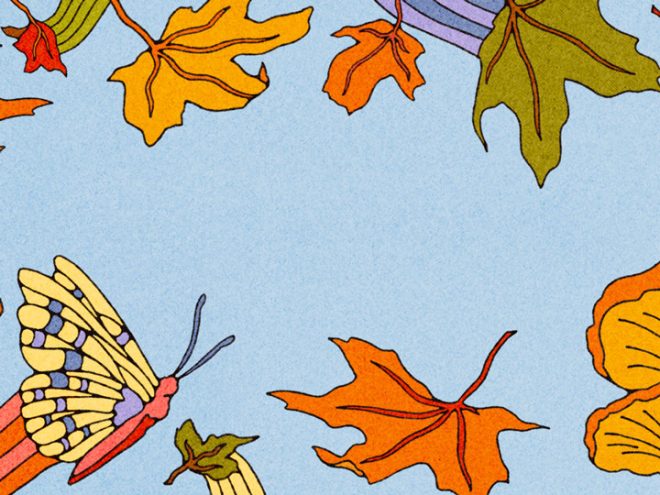 Featured image for All Classical Radio's 2026 Music Connects campaign, featuring a scenic view of leaves, butterflies, frogs, and mushrooms