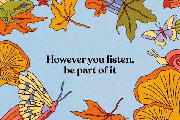 Desktop banner for All Classical Radio's 2026 Music Connects campaign, featuring a scenic view of leaves, butterflies, frogs, and mushrooms
